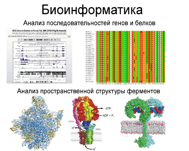 Урок Генетики_Изучение секрета ДНК.